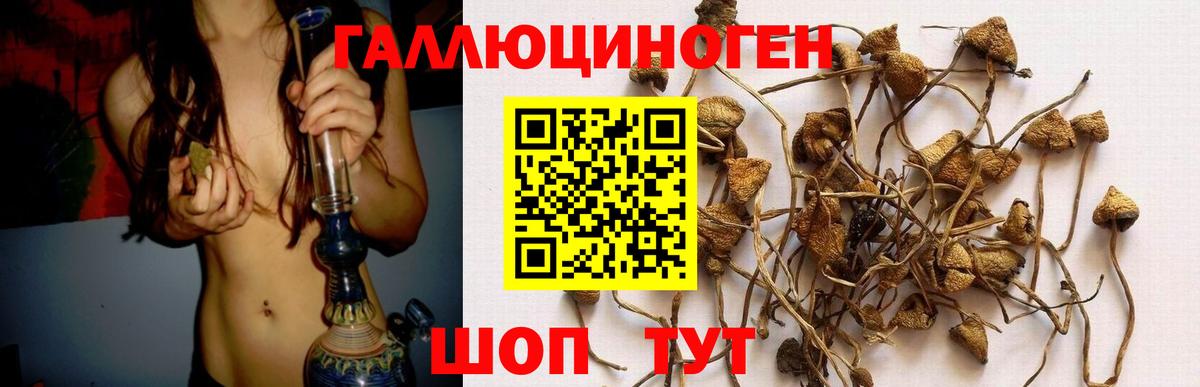 Людиново  Галлюциногенные грибы прущие грибы  Вход с VPN 